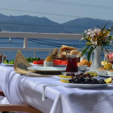 Soeguet Ada Pansiyon Kwatera prywatna Sogut (Aegean)