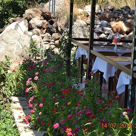 בית אירוח Soeguet Ada Pansiyon Sogut (Aegean)