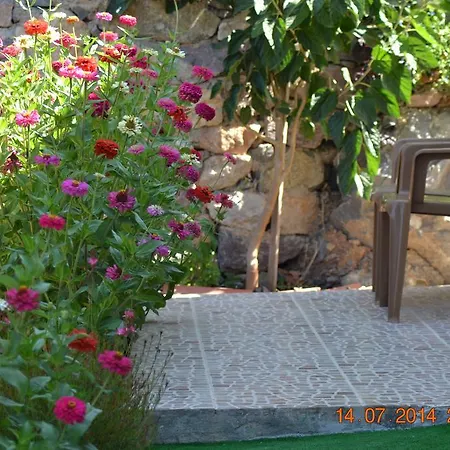 בית אירוח Soeguet Ada Pansiyon Sogut (Aegean)