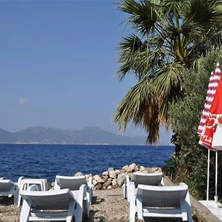 בית אירוח Soeguet Ada Pansiyon Sogut (Aegean)