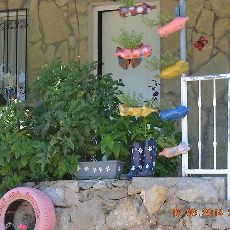 Soeguet Ada Pansiyon * Sogut (Aegean)