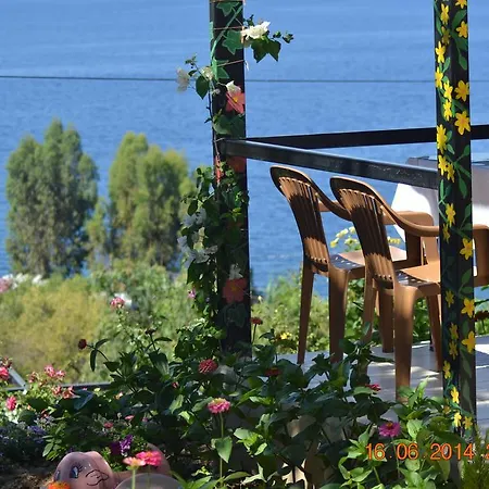 Soeguet Ada Pansiyon Sogut (Aegean)