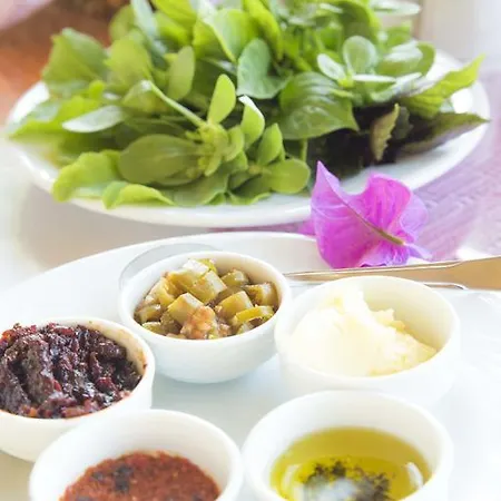 Soeguet Ada Pansiyon בית אירוח Sogut (Aegean)