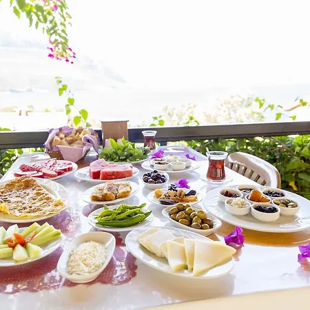 Soeguet Ada Pansiyon * Sogut (Aegean)